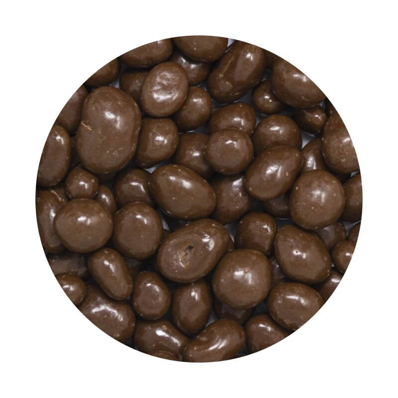 Pasas de uva c/chocolate 100g - Argenfrut