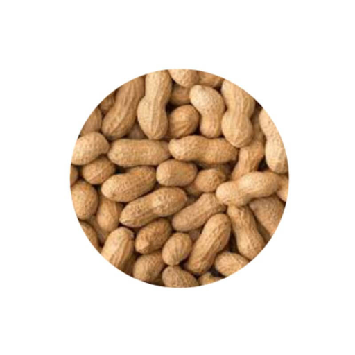 Mani con cascara 250g